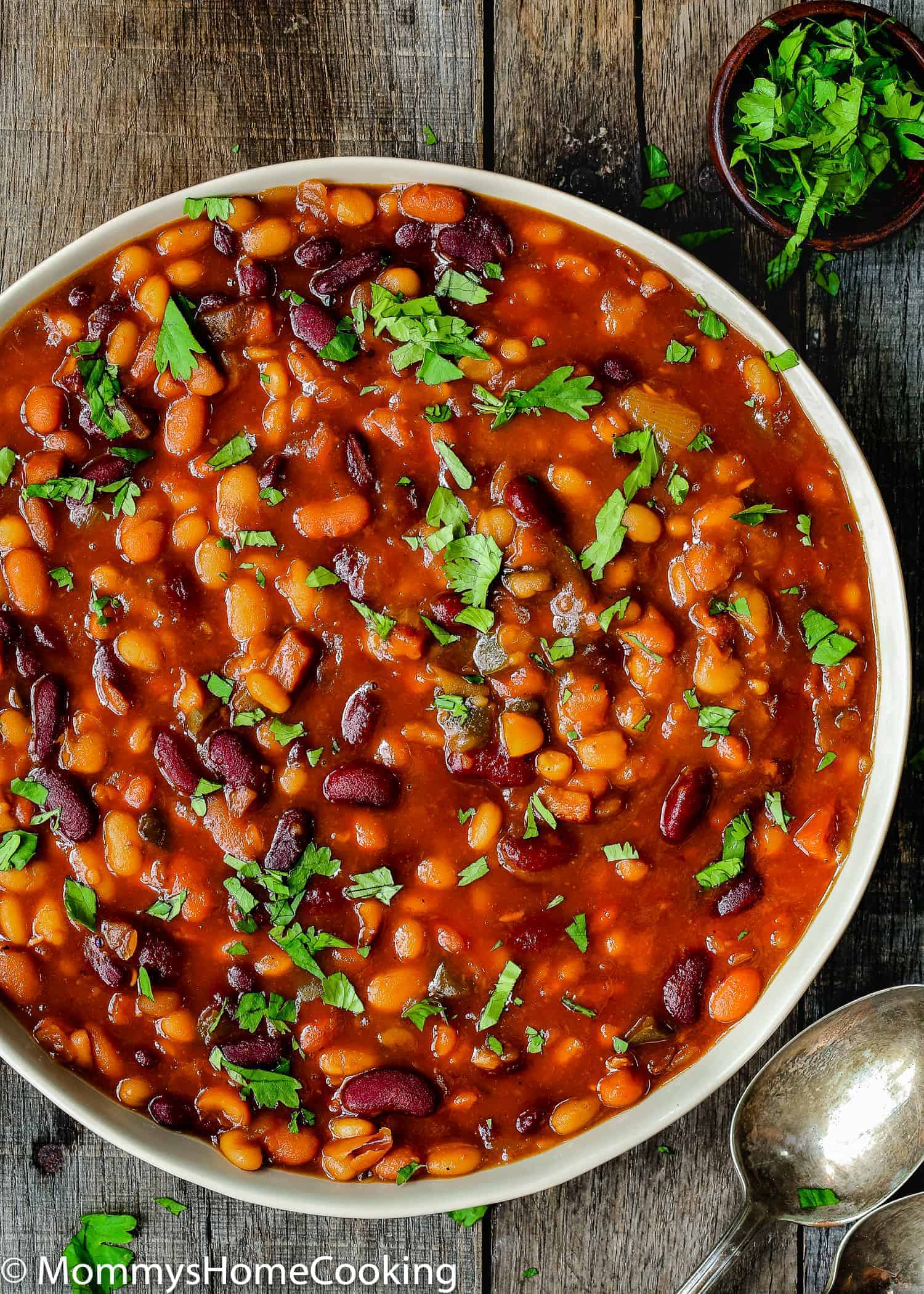 Easy Instant Pot Baked Beans - Mommy's Home Cooking