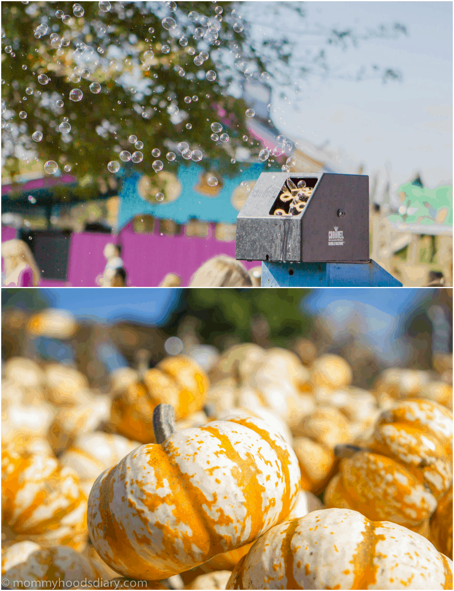 pumpkin Collage bubbles and pumpkins