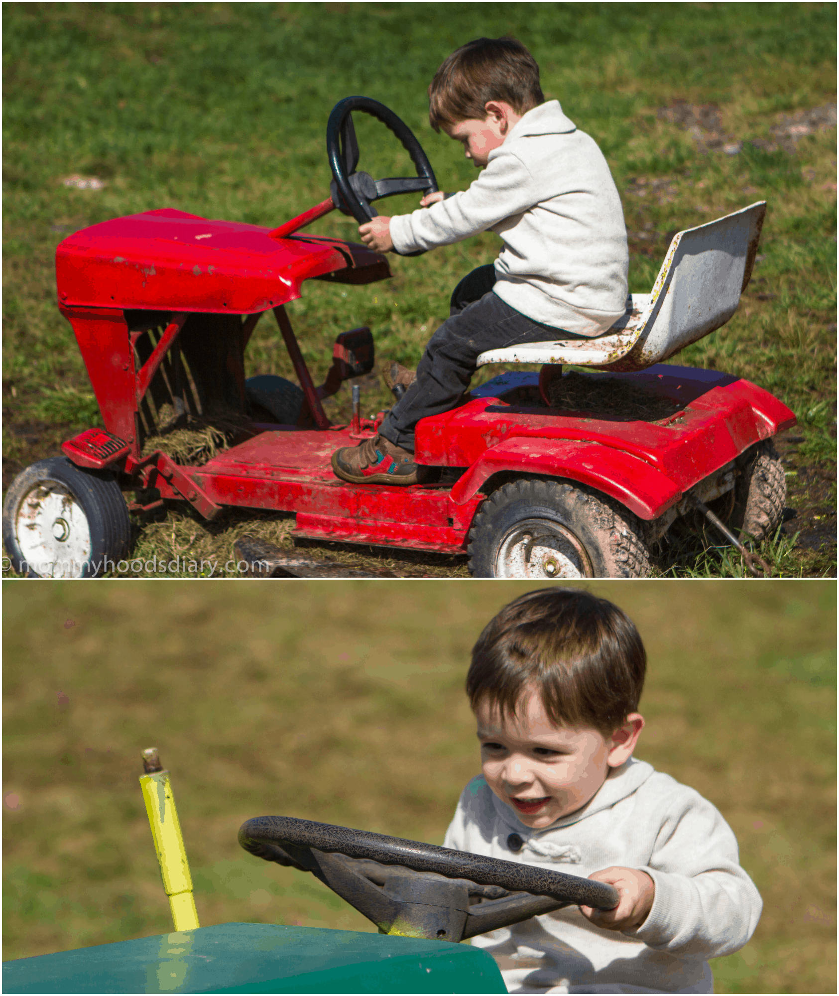 pumpkin picking Collage kid on a tractor