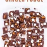 Ginger Fudge | Mommyhood's Diary