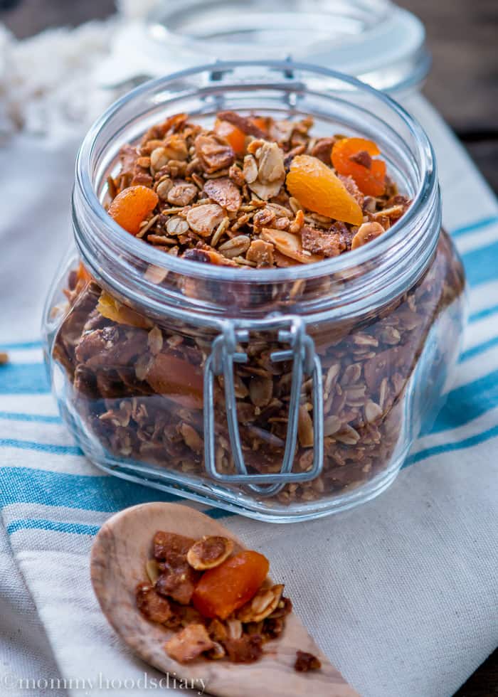 Coconut Apricot Granola - Mommy's Home Cooking