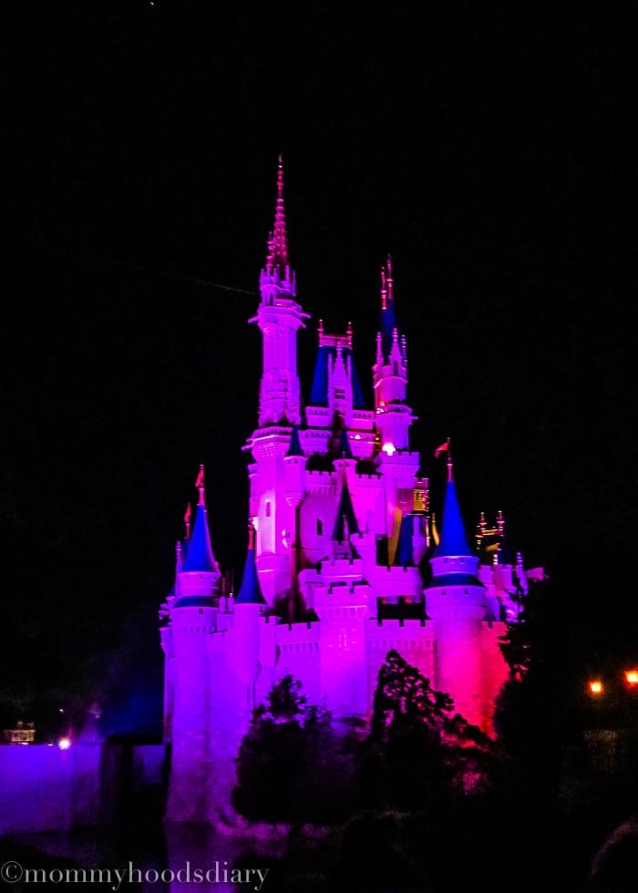 Walt Disney World 2015-15