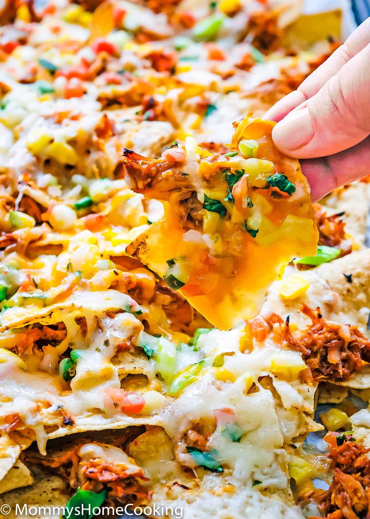 hand holding a Tequila Barbecue Chicken nacho