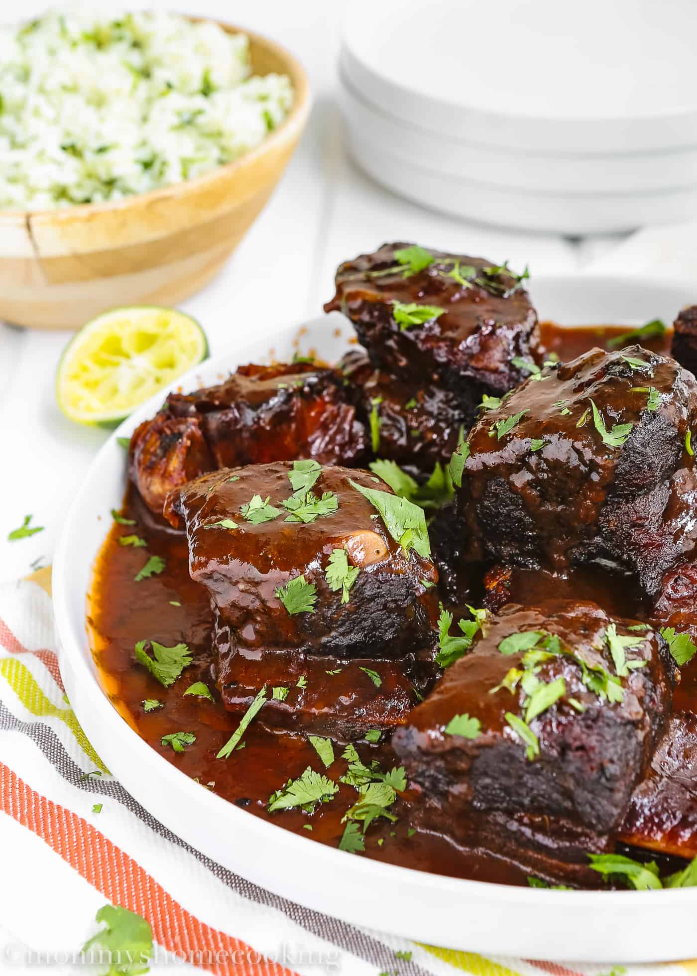 A plate with saucy short ribs.