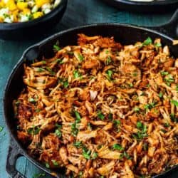 Instant Pot Mexican Pulled Pork | Mommy's Home Cooking