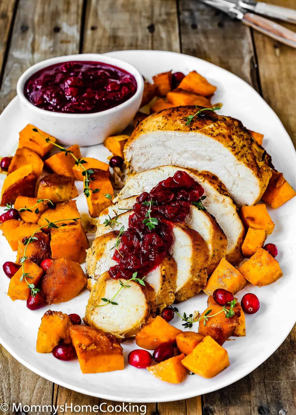 Cranberry Sauce over slices turkey in a plate