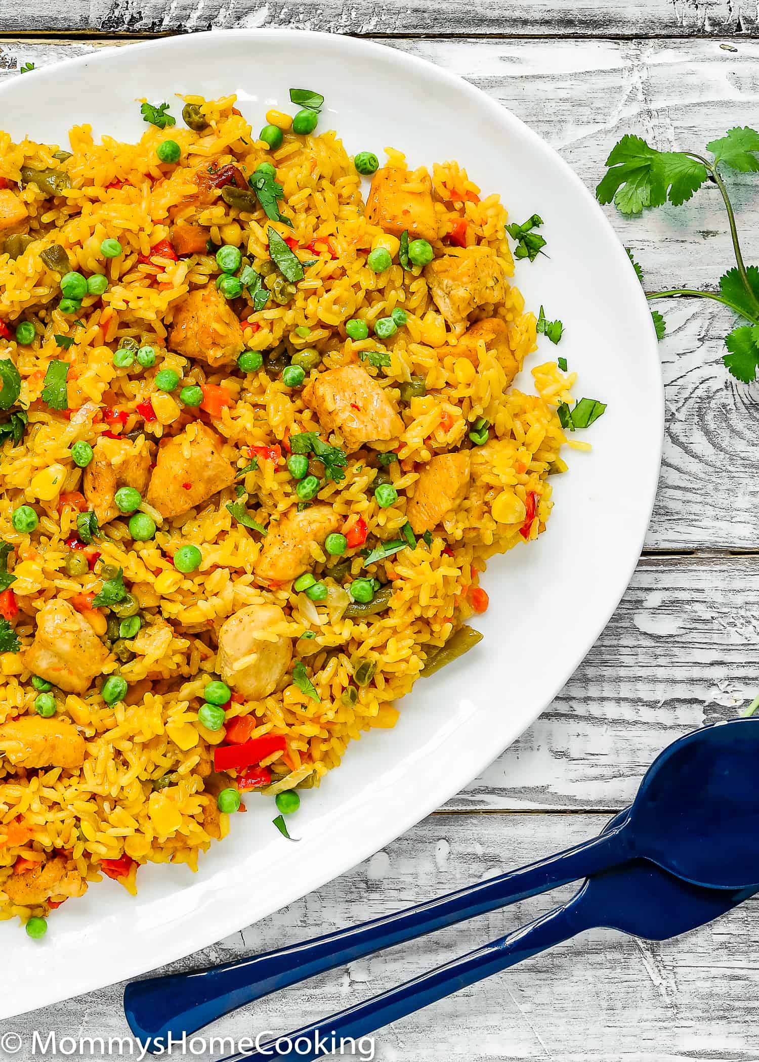 Easy Instant Pot Arroz con Pollo - Mommy's Home Cooking