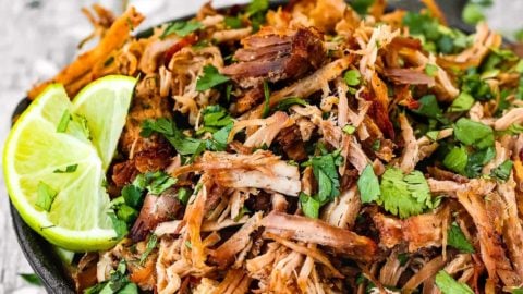 Instant pot recipes online carnitas