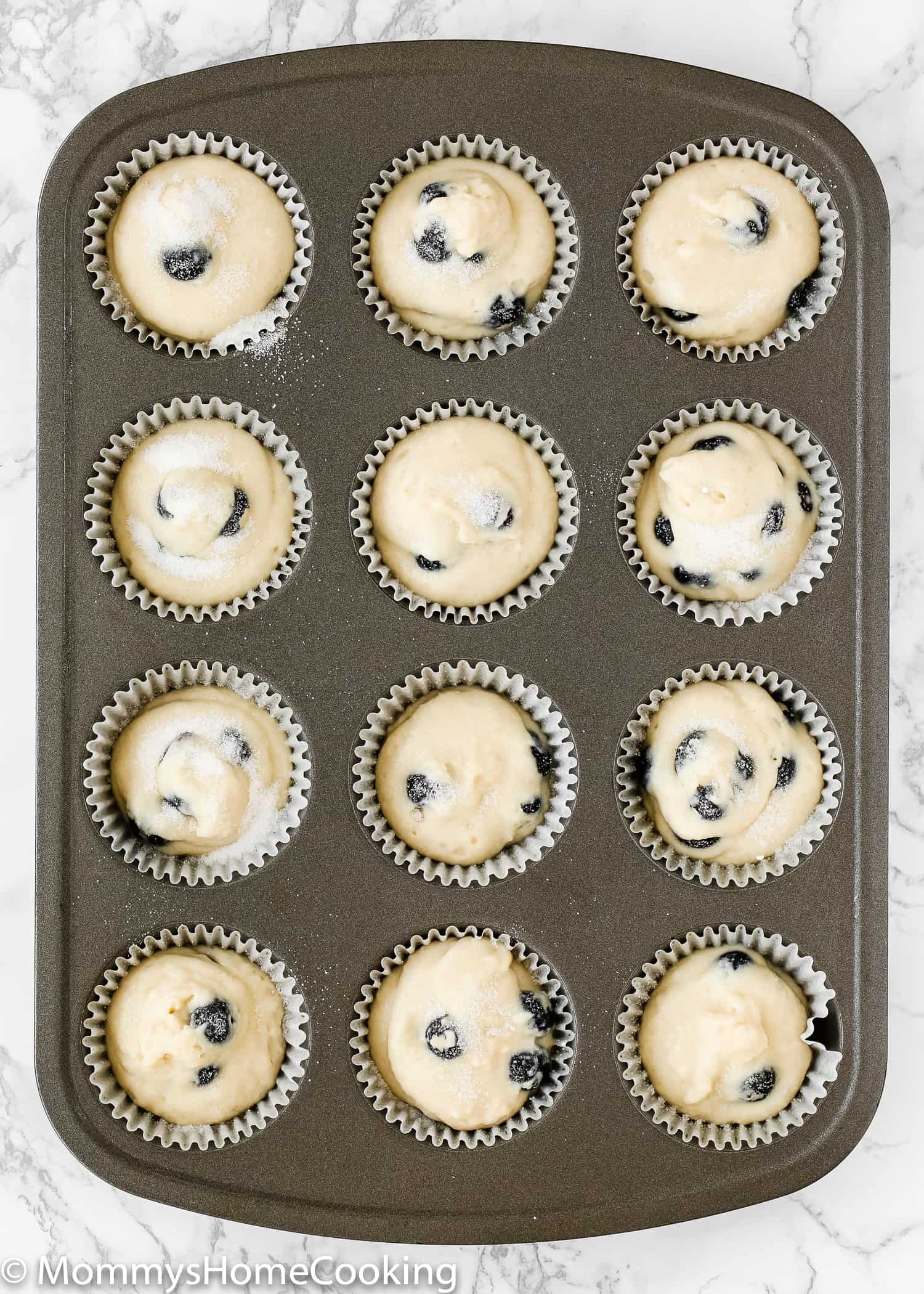 unbaked Eggless Blueberry Muffins in a muffin tin.