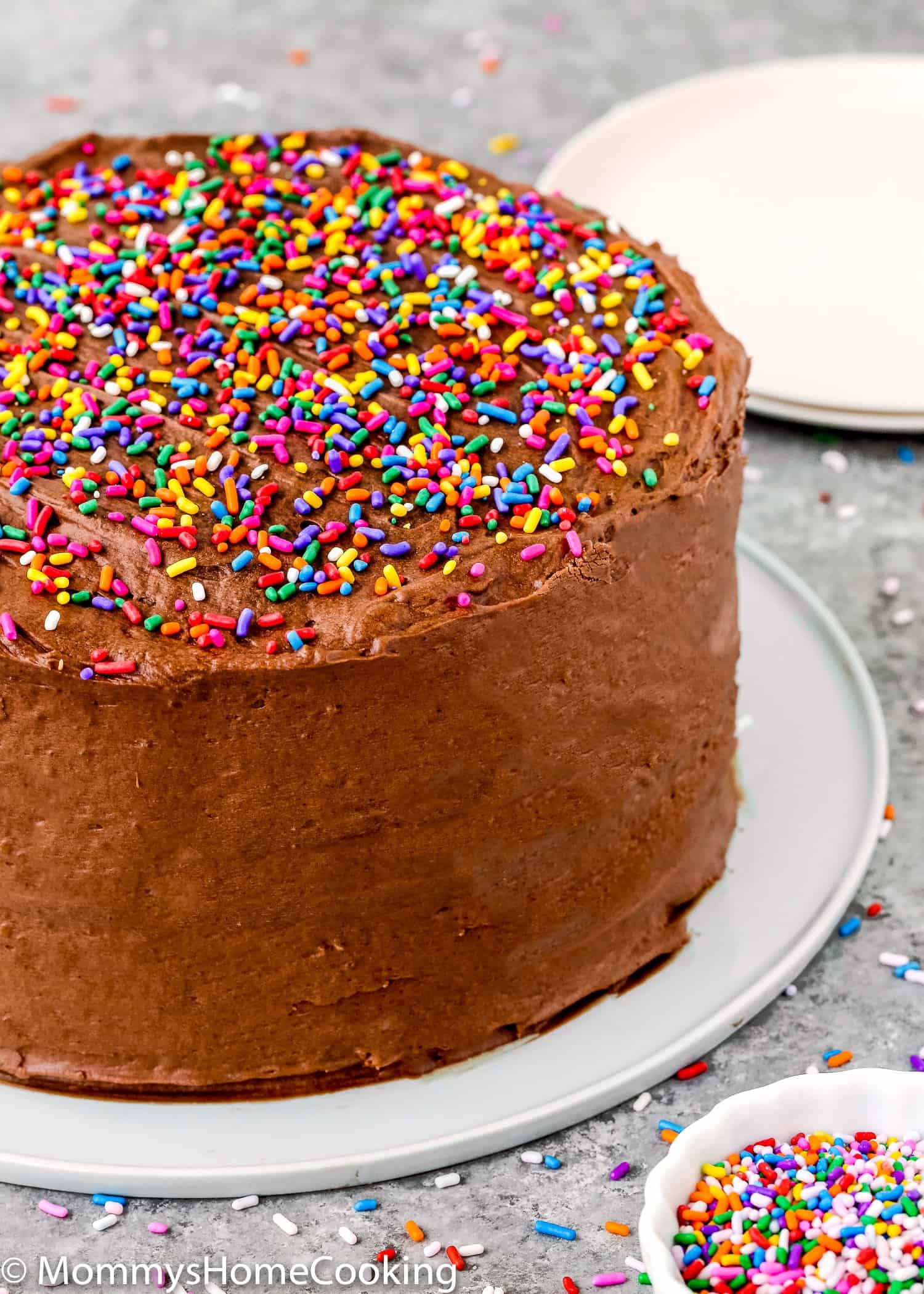 Egg-free cake make with a cake mix box, covered with chocolate buttercream and sprinkles.