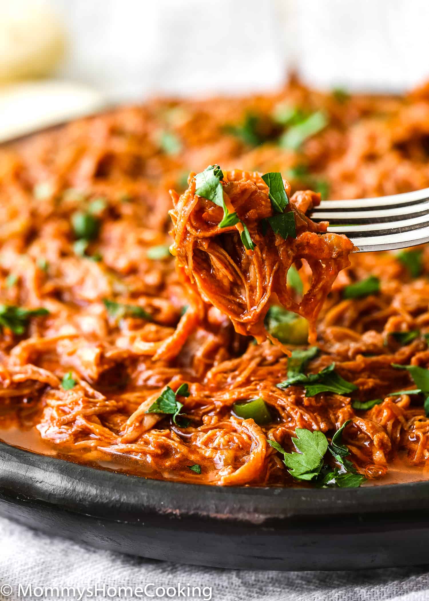 This Instant Pot Venezuelan Shredded Beef is beyond delicious! Made quick and easy in the Instant Pot, this shredded beef is fantastic for tacos, arepas, burritos, empanadas, quesadillas, sliders or just served on rice or mashed potatoes. https://mommyshomecooking.com