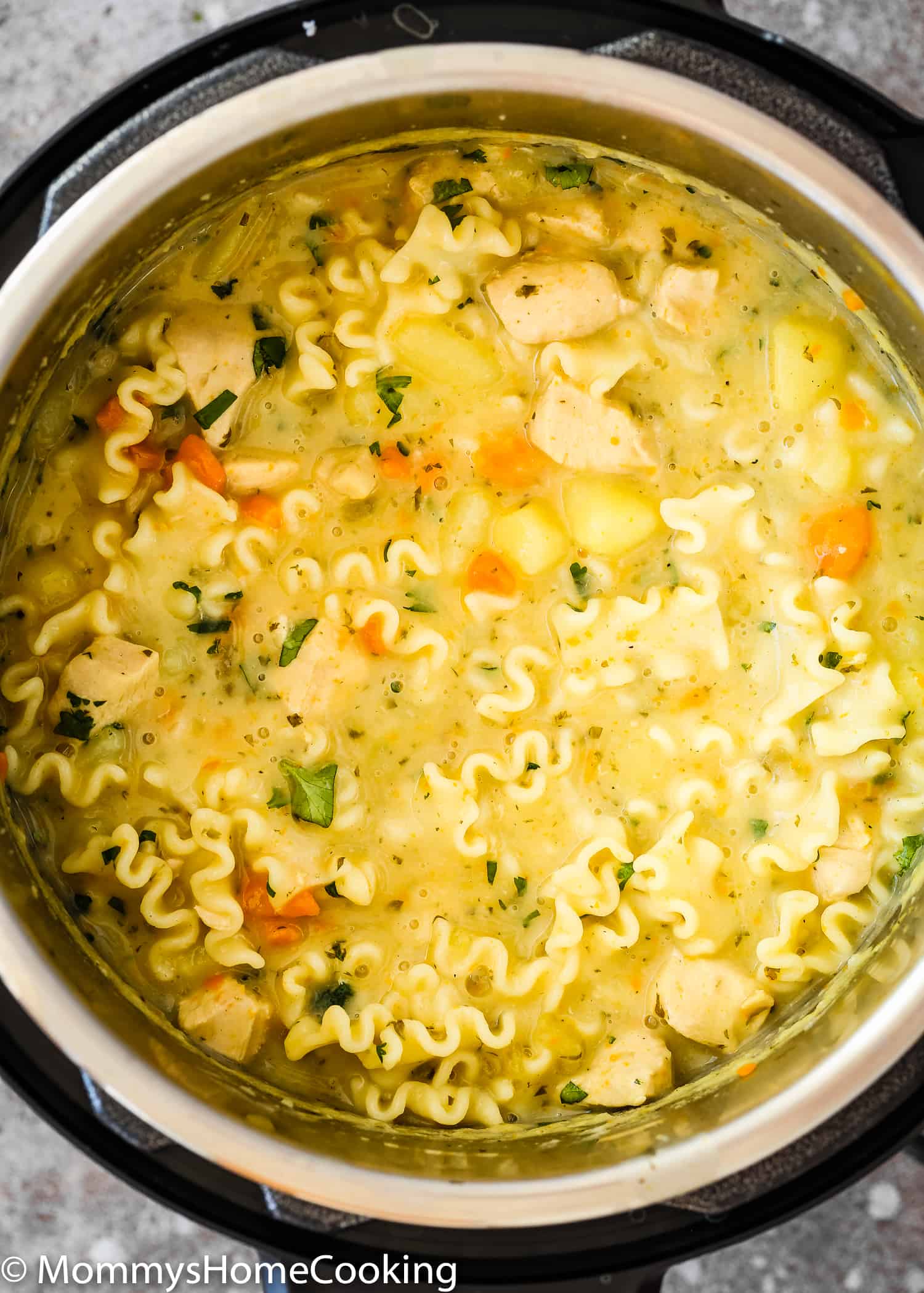 Chicken Noodle Soup in a Instant Pot.