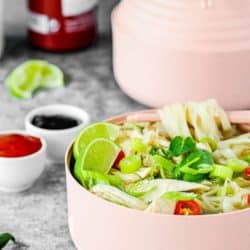 Easy Instant Pot Chicken Pho | Mommy's Home Cooking