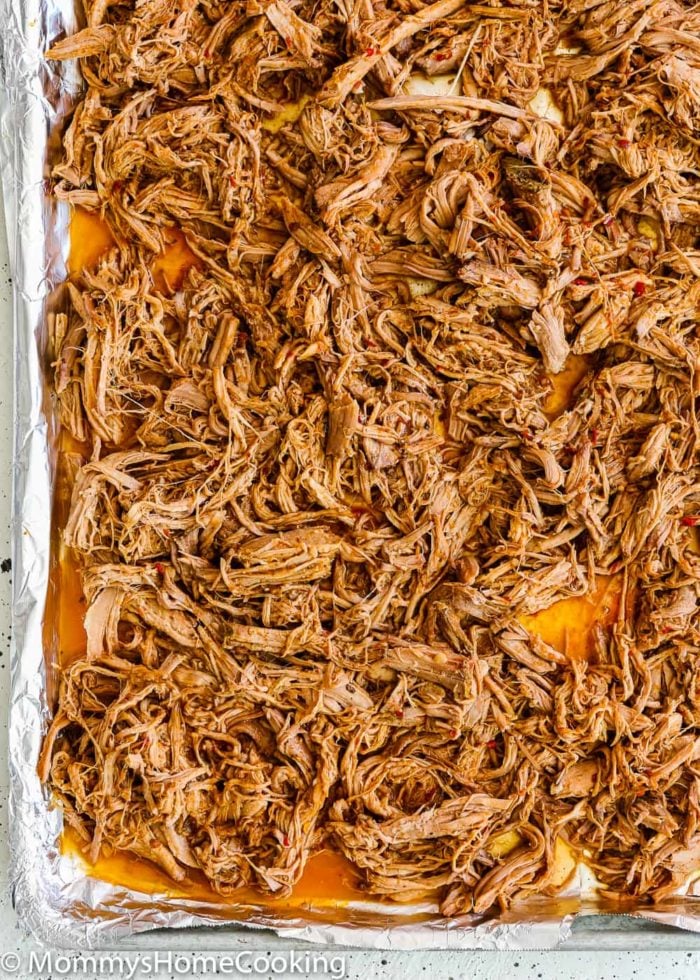 Slow Cooker Chipotle Carnitas Mommy's Home Cooking