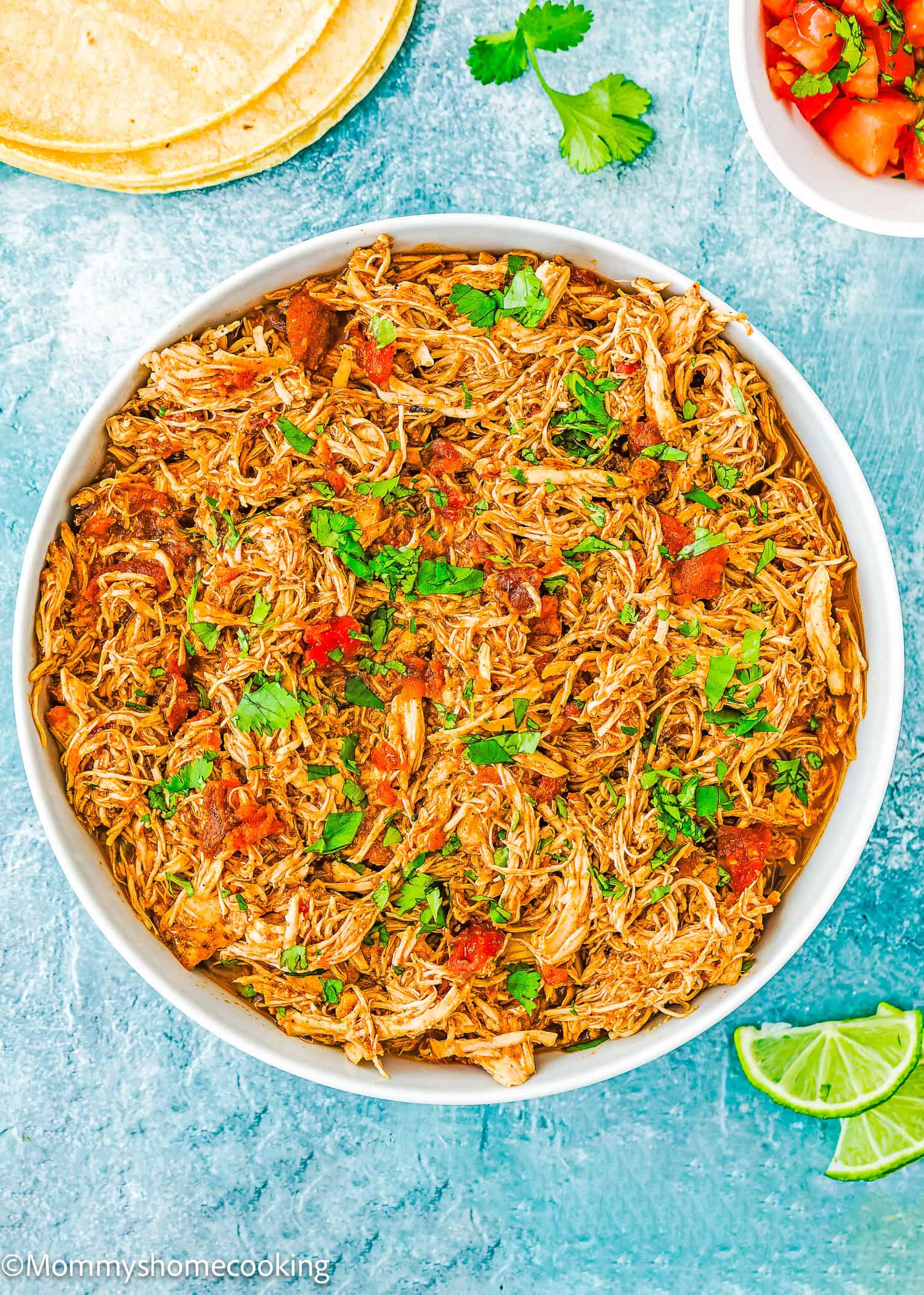 Instant pot mexican shredded chicken recipes sale