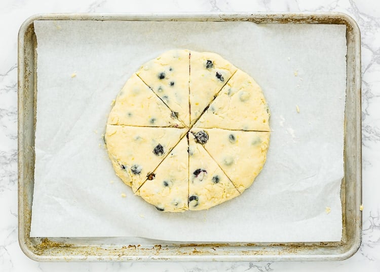 Eggless Blueberry Scones dough form into a disk cut into wedges over a baking tray. 