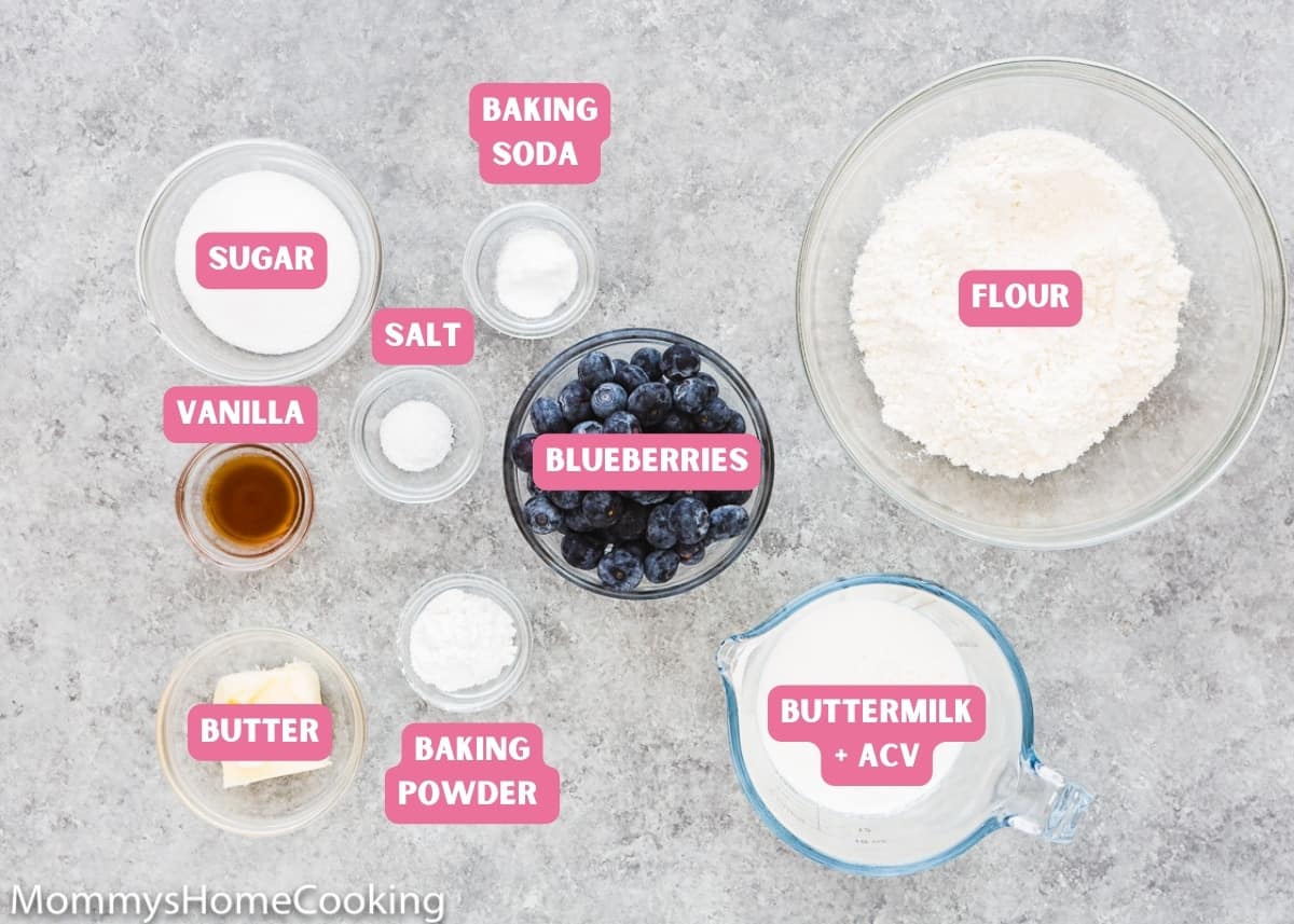 egg-free blueberry muffin ingredients with name tags.