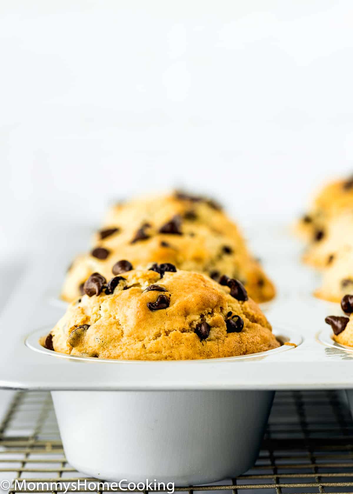 Eggless Chocolate Chip Muffins in a muffin pan