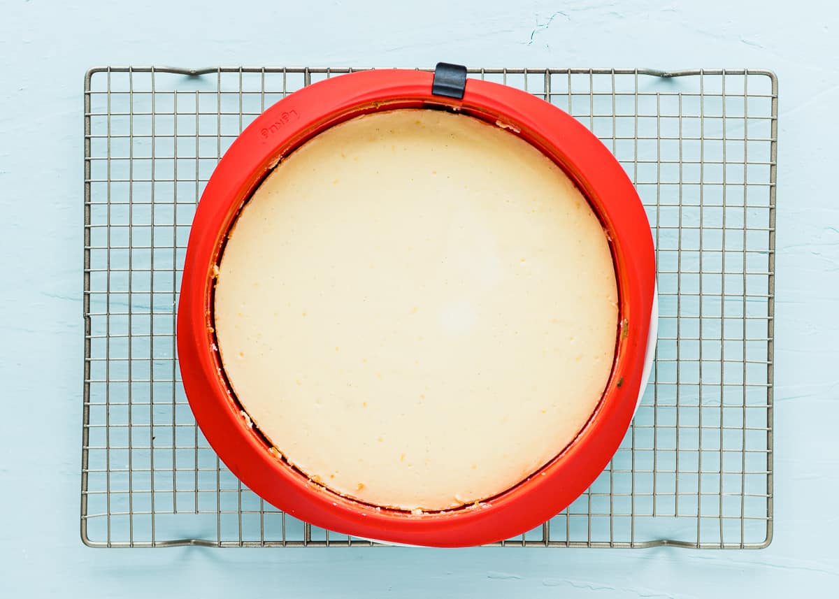 baked eggless cheesecake in a springform over a cooling rack. 