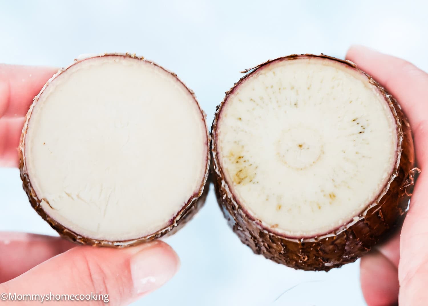 Two hands holding halves of yuca, a root vegetable with brown rough skin and white interior; one half is smooth while the other shows a fibrous texture—perfect for learning How to Make Yuca Fries.
