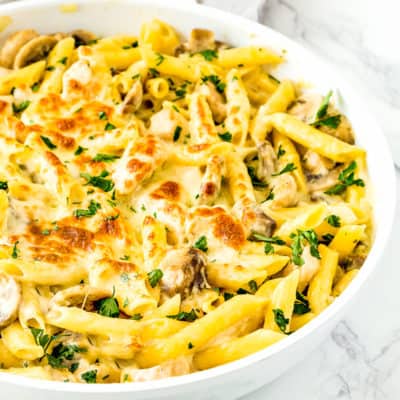 Chicken Tetrazzini with melted cheese on top