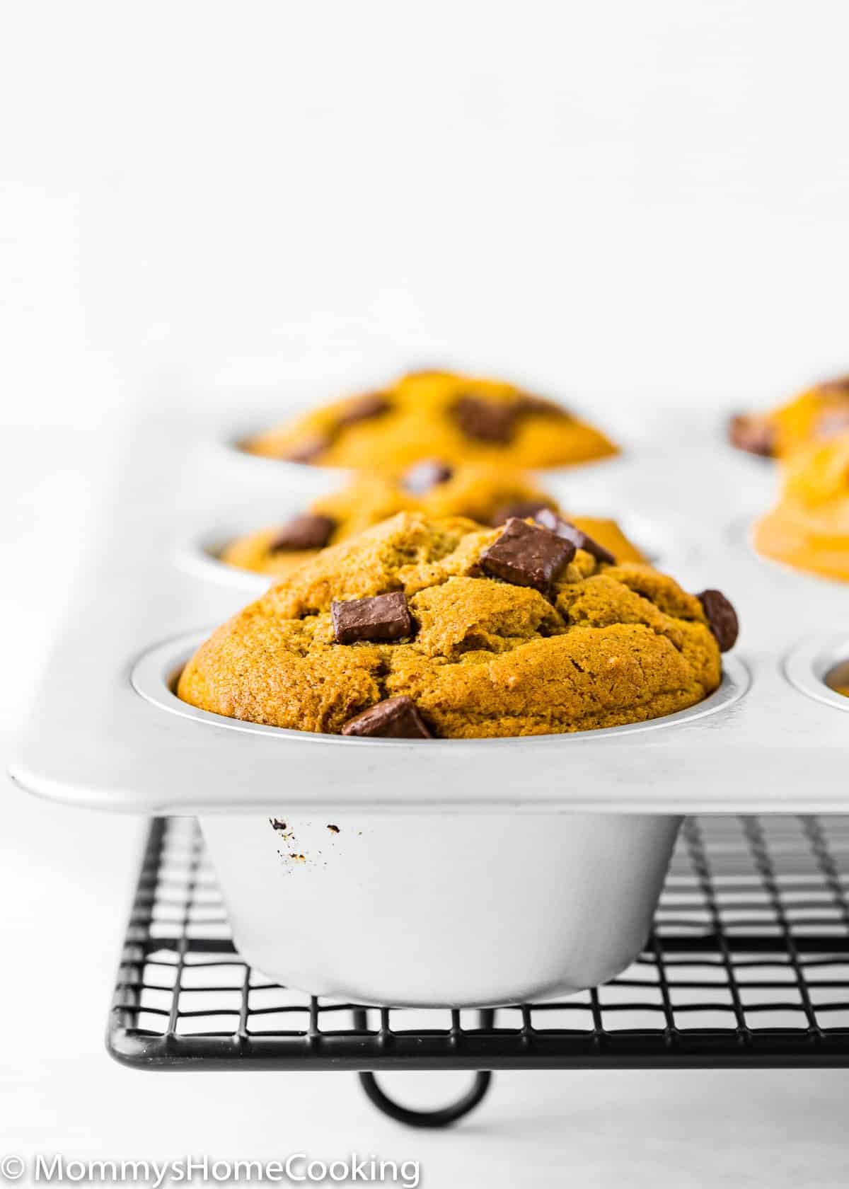 baked Eggless Chocolate Chip Pumpkin Muffin in a muffin pan over a cooling rack.