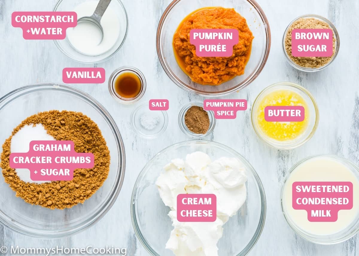 Ingredients needed to make egg-free pumpkin Cheesecake with name tags.