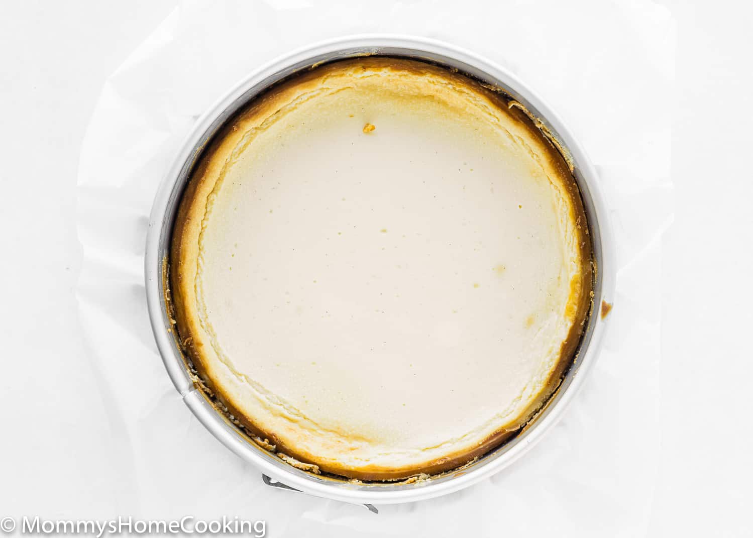 baked Eggless Pecan Pie Cheesecake in a springform pan