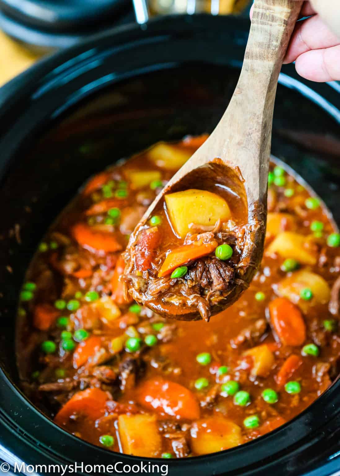 Slow Cooker Oxtail Stew [Video] Mommy's Home Cooking