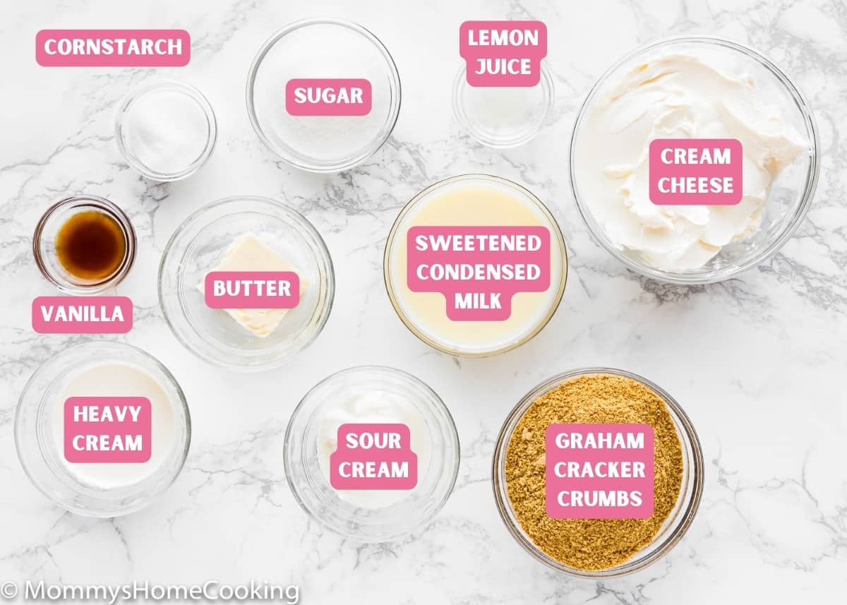 Ingredients needed to make Easy Eggless Mini Cheesecakes over a marble surface with name tags.