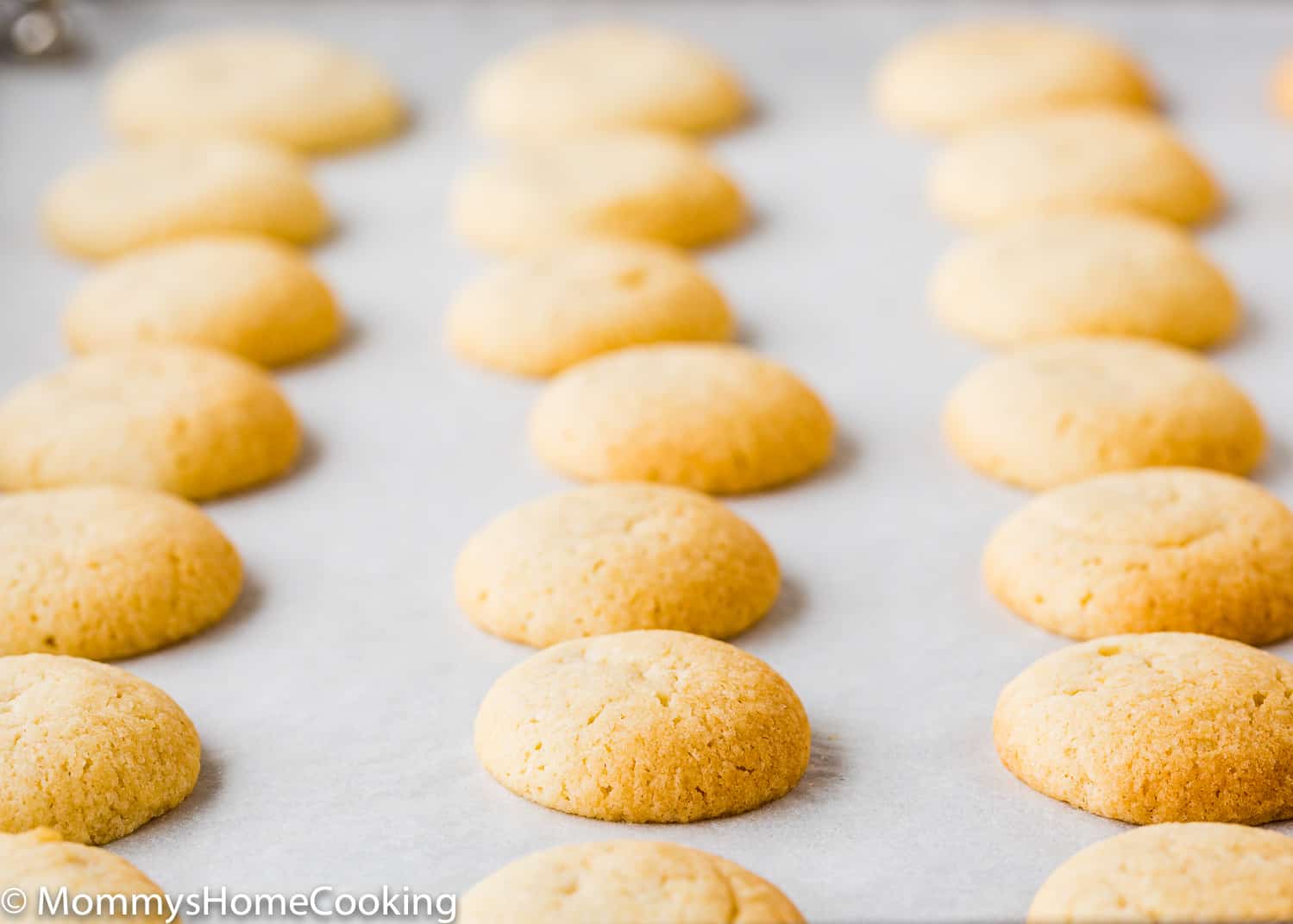 Eggless Vanilla Wafers over parchment paper.