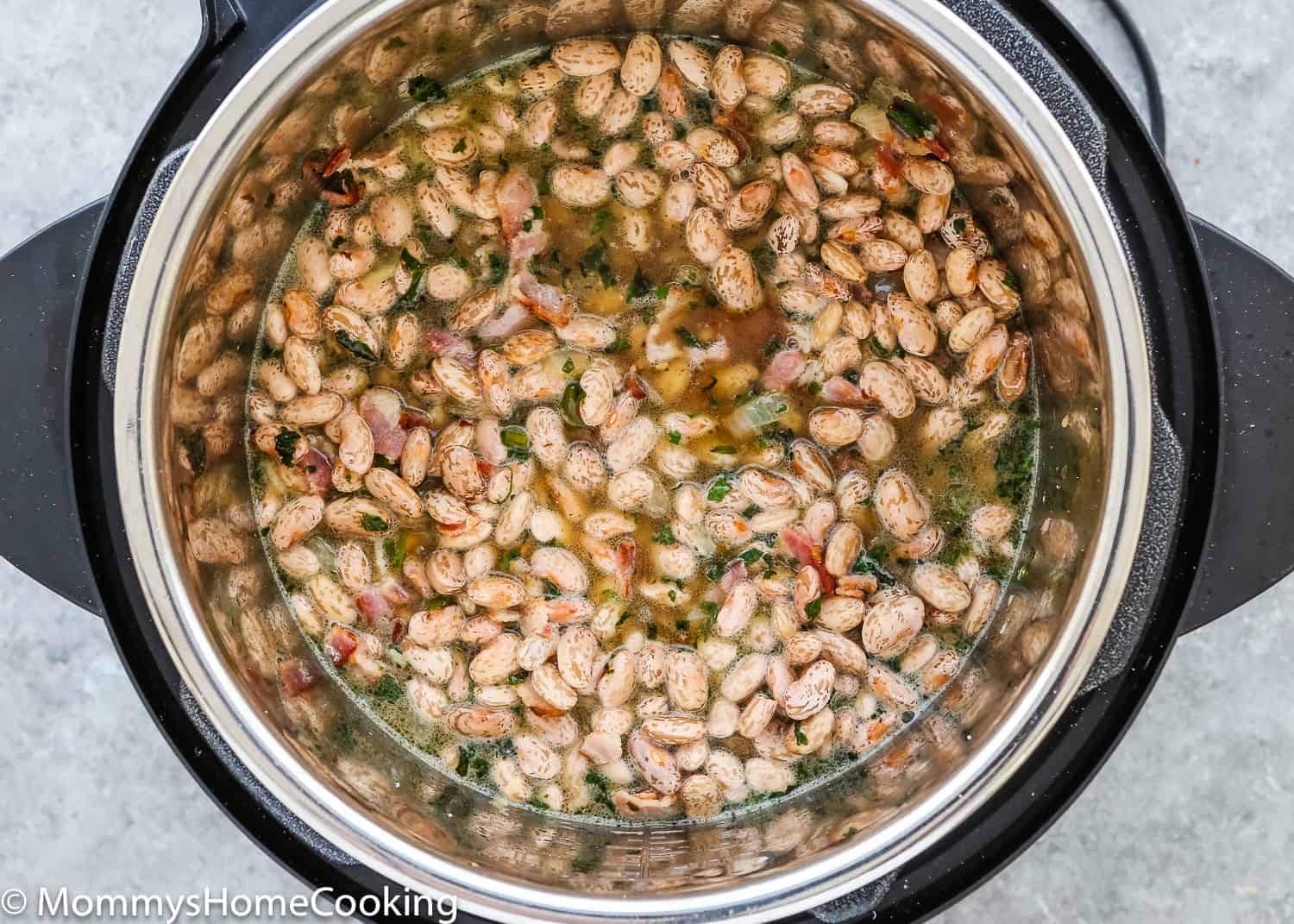 ingredients needed to make drunken bean in a instant pot.