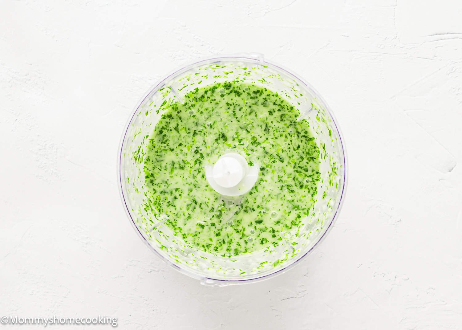 parsley, cilantro, green onions, oil, water, and vinegar blended in a small food processor.