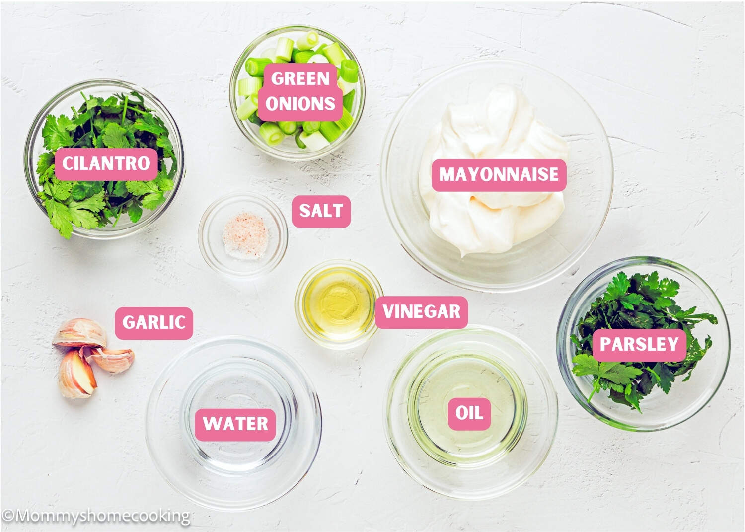 Ingredients needed to make Venezuelan Garlic Sauce (Salsa de Ajo Venezolana) with name tags.