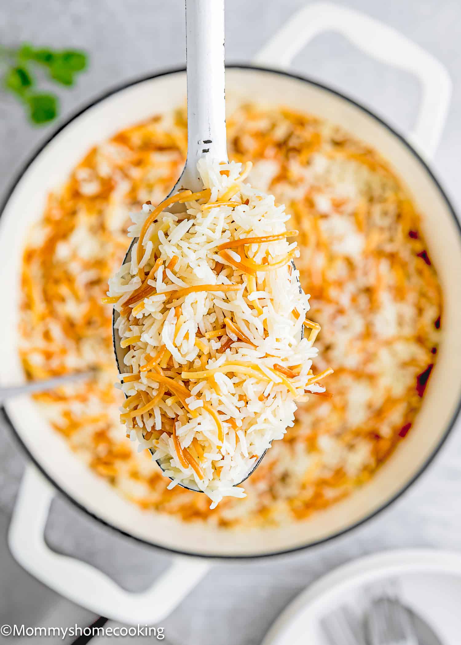 a serving spoon with vermicelli rice (arroz con fideos).