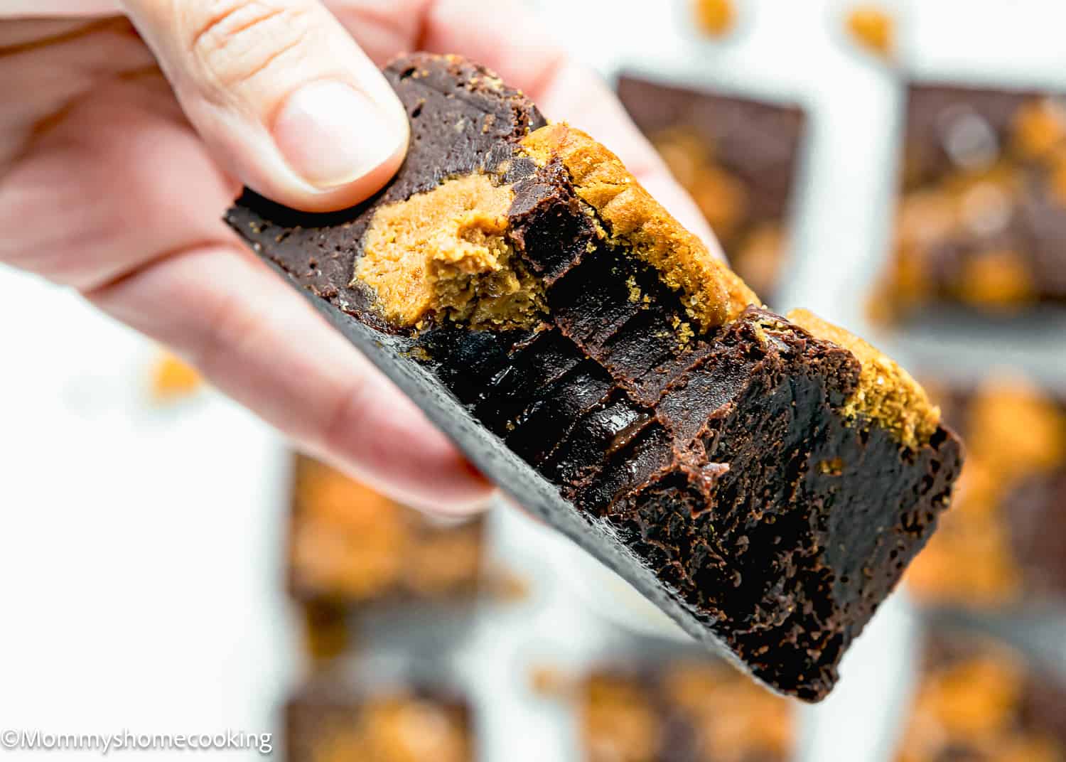a hand holding a bitten fudgy eggless Biscoff Cookie Butter Brownie.