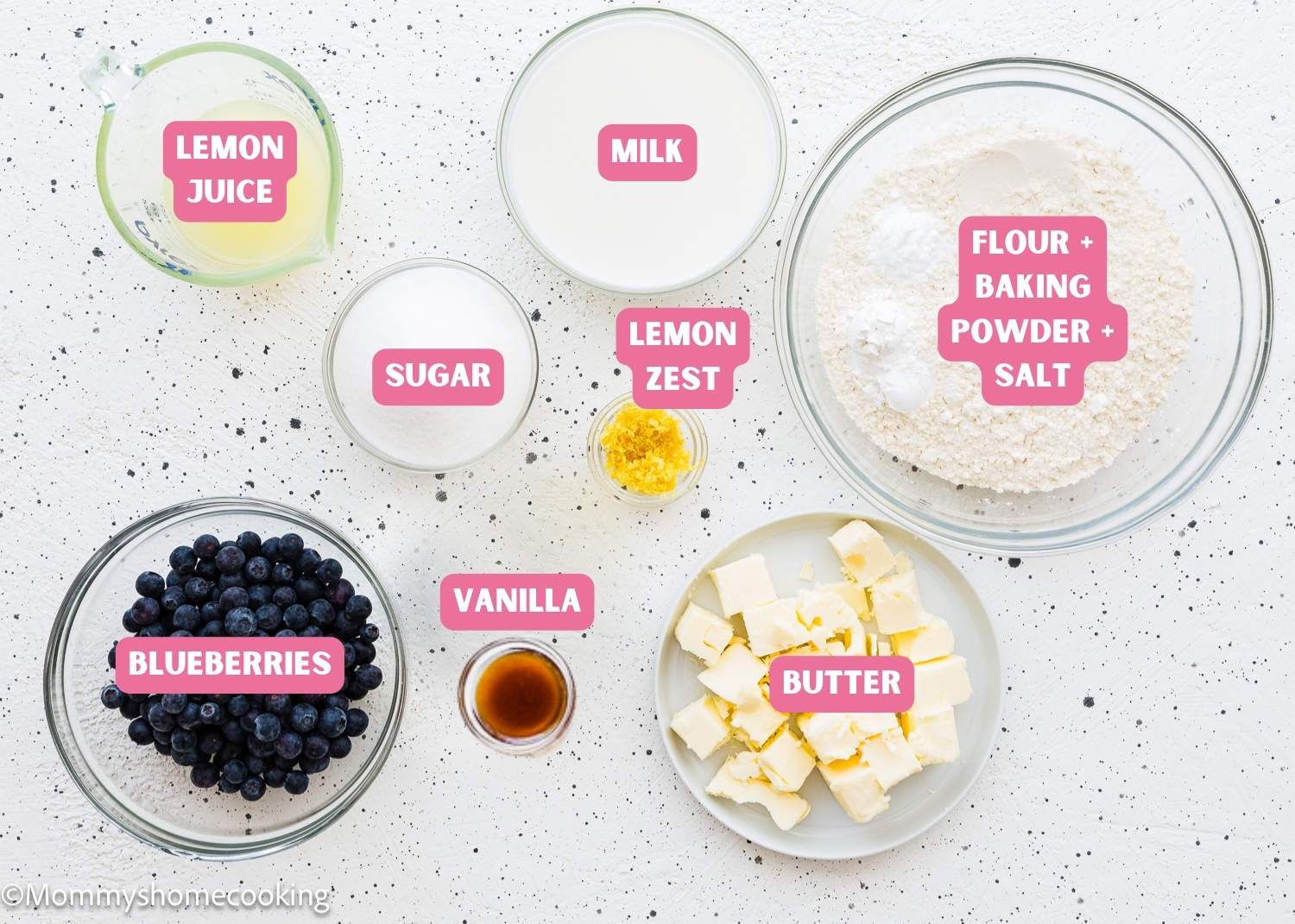 Ingredients needed to make Eggless Lemon blueberry Loaf Cake with tag names.