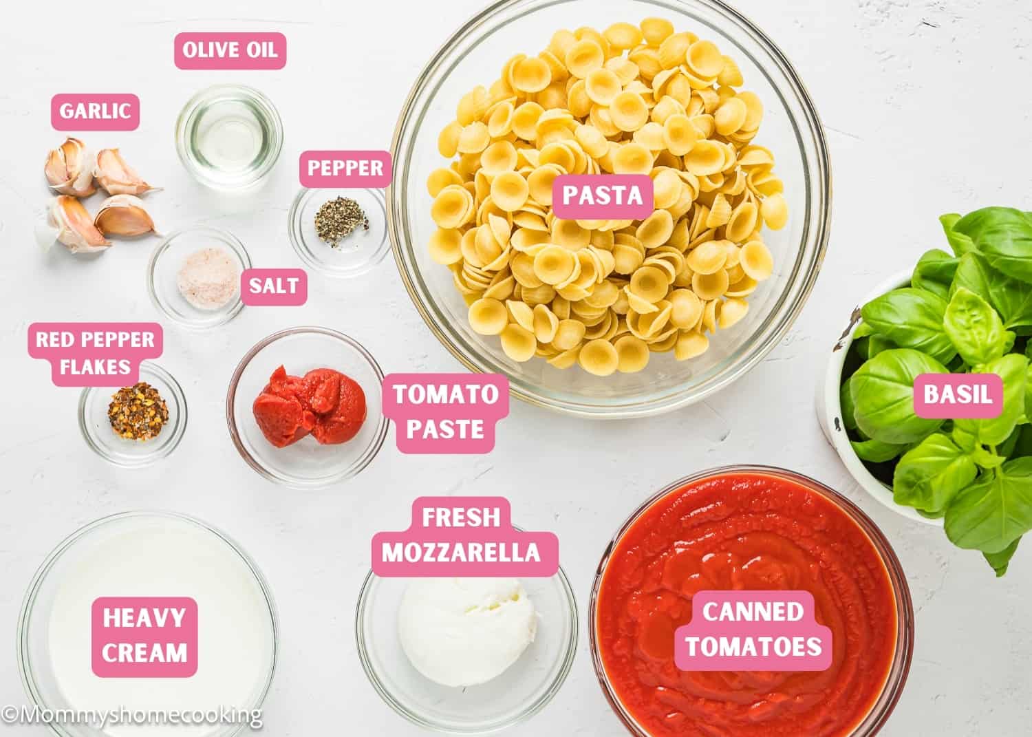 Ingredients needed to make Super Easy Creamy Tomato Pasta (With Secret Ingredient) with name tags.