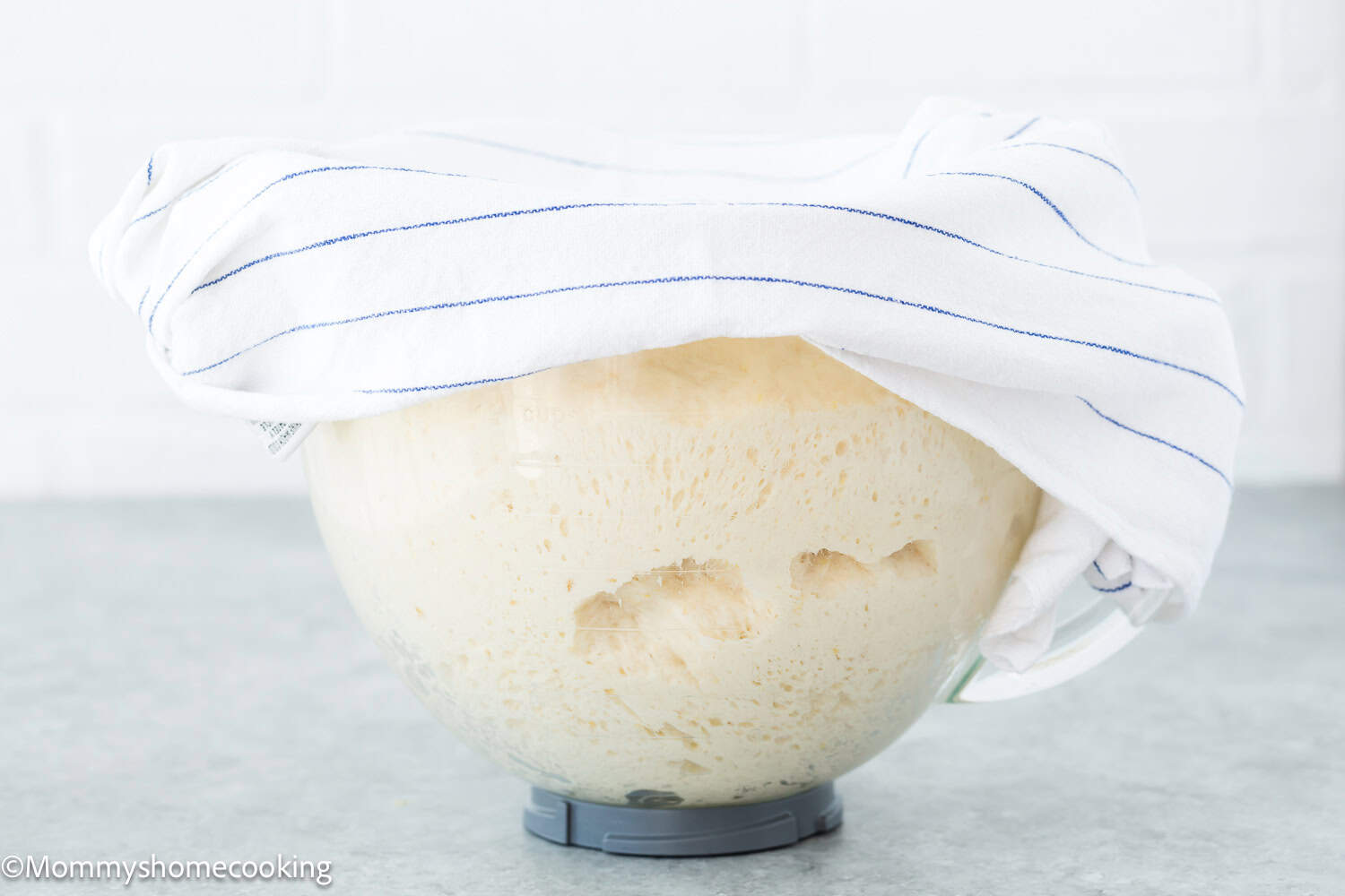 risen Homemade Eggless Crescents Rolls dough in a bowl.