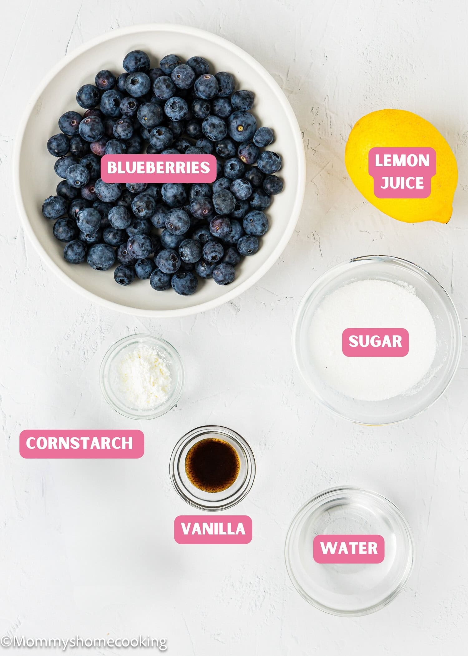 Ingredients needed to make Homemade Blueberry Sauce Topping with name tags.