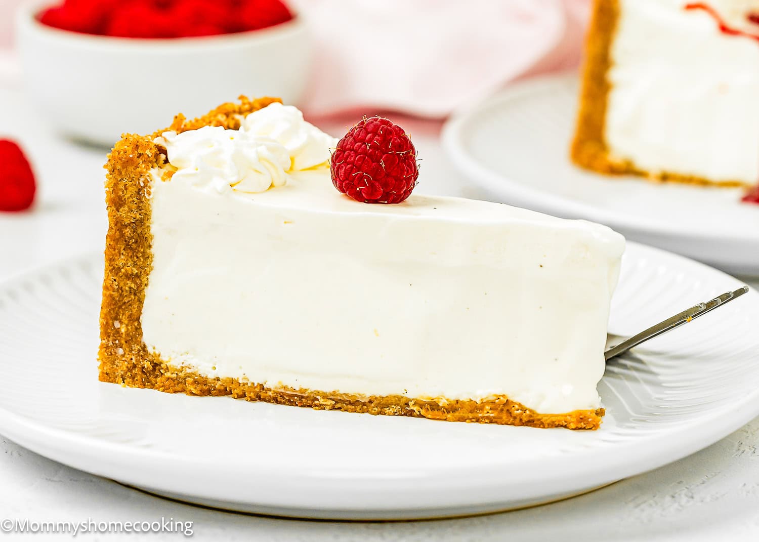 a slice of Easy No Bake Cheesecake with a raspberry on top over a white dessert plate.