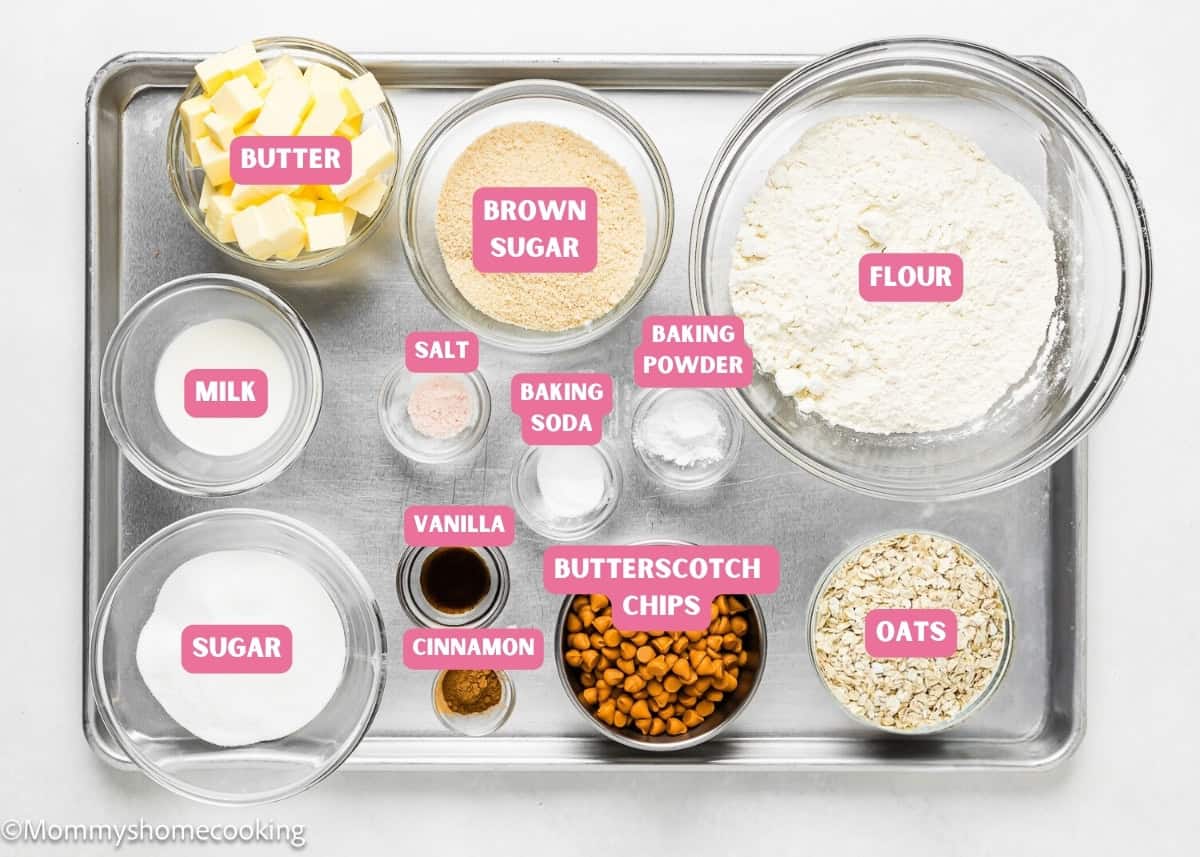 Ingredients needed to make Eggless Easy Oatmeal Scotchies Cookies with name tags.