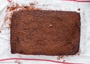 Eggless Easy Chocolate Swiss Roll Cake inverted over a kitchen towel.