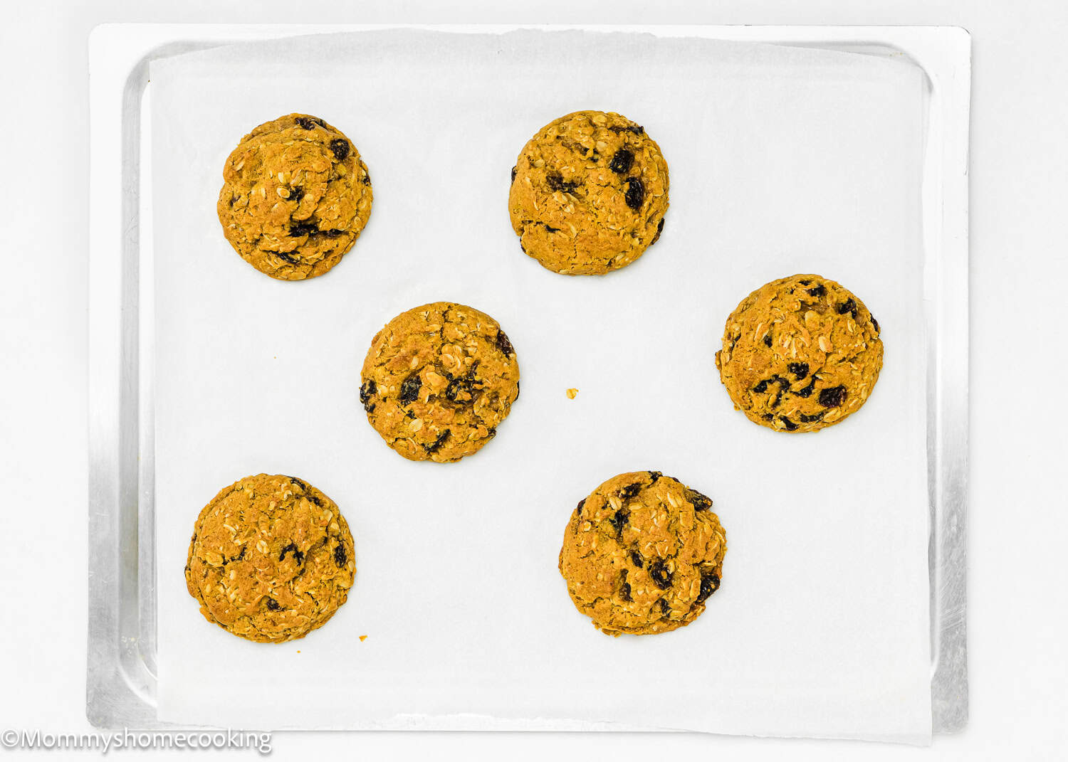 A baking tray with five evenly spaced eggless oatmeal raisin cookies rests on parchment paper. These easy-to-make treats require just one bowl, making cleanup a breeze.