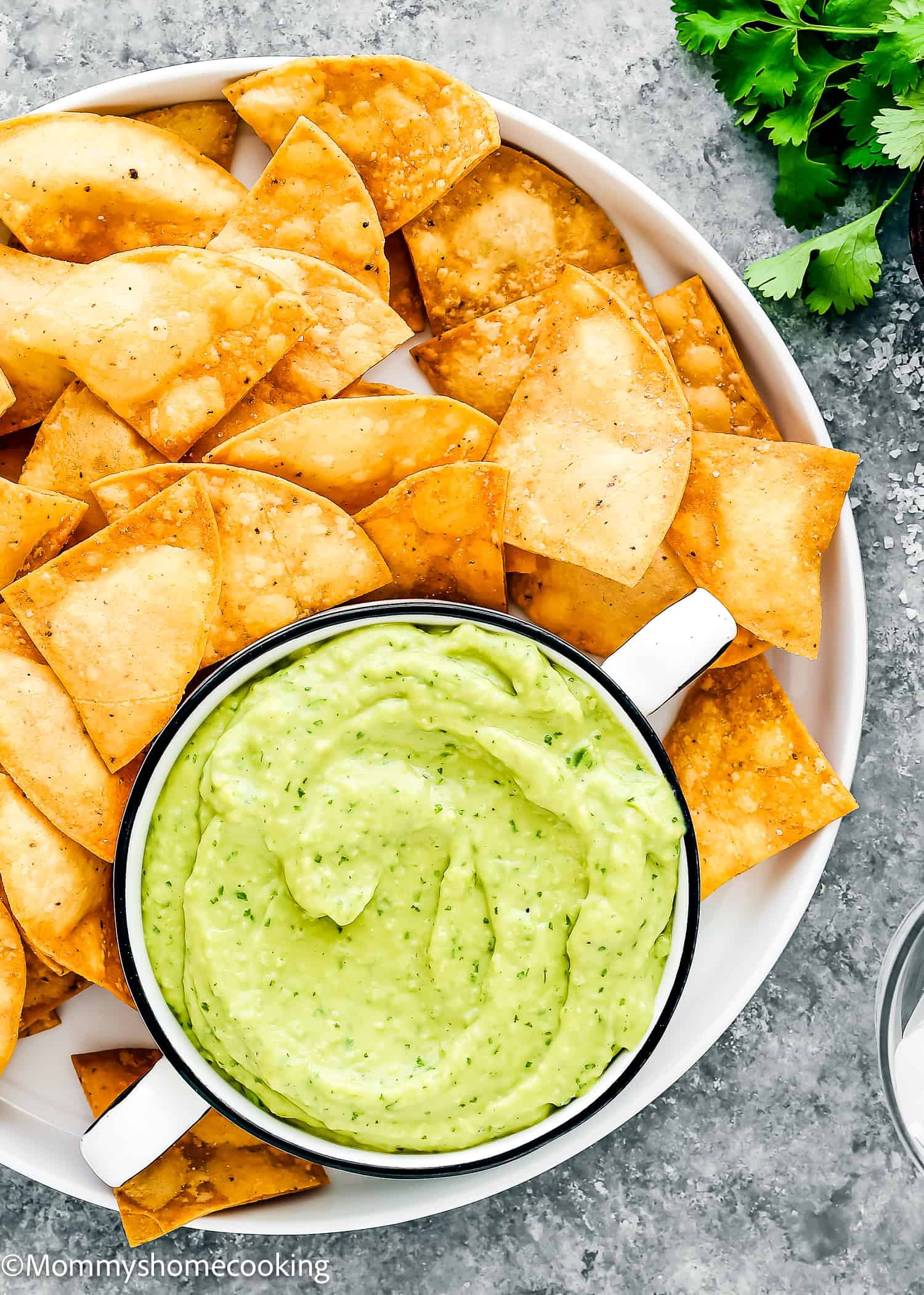 A bowl of vibrant Venezuelan Guasacaca dip is surrounded by crispy tortilla chips on a white plate, with a sprig of cilantro nearby.