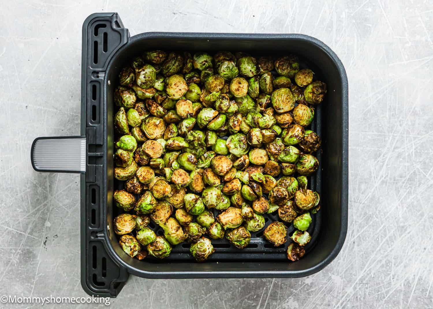 Air Fryer Brussels sprouts roasted to perfection in a basket, showcased on a textured gray surface.