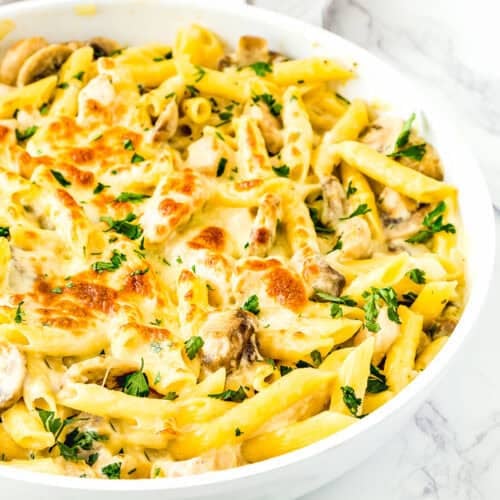 A white dish of one-pot easy chicken tetrazzini featuring baked penne pasta with creamy sauce, mushrooms, and a parsley garnish, all on a marble surface.