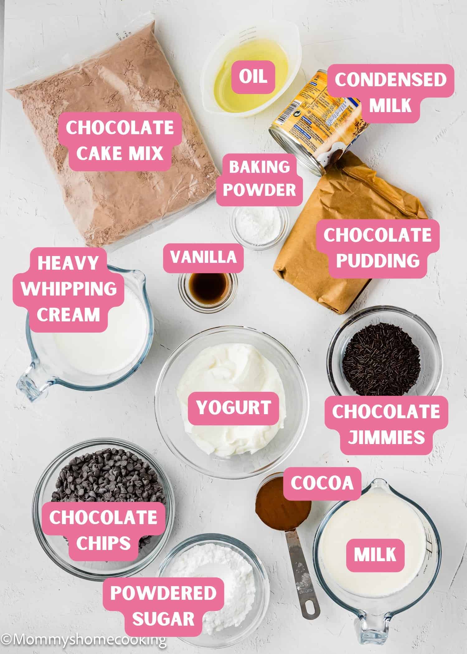 Top-down view of baking ingredients labeled: chocolate cake mix, oil, condensed milk, baking powder, vanilla, heavy whipping cream, yogurt, chocolate pudding, chocolate jimmies, chocolate chips, cocoa, powdered sugar, and milk.