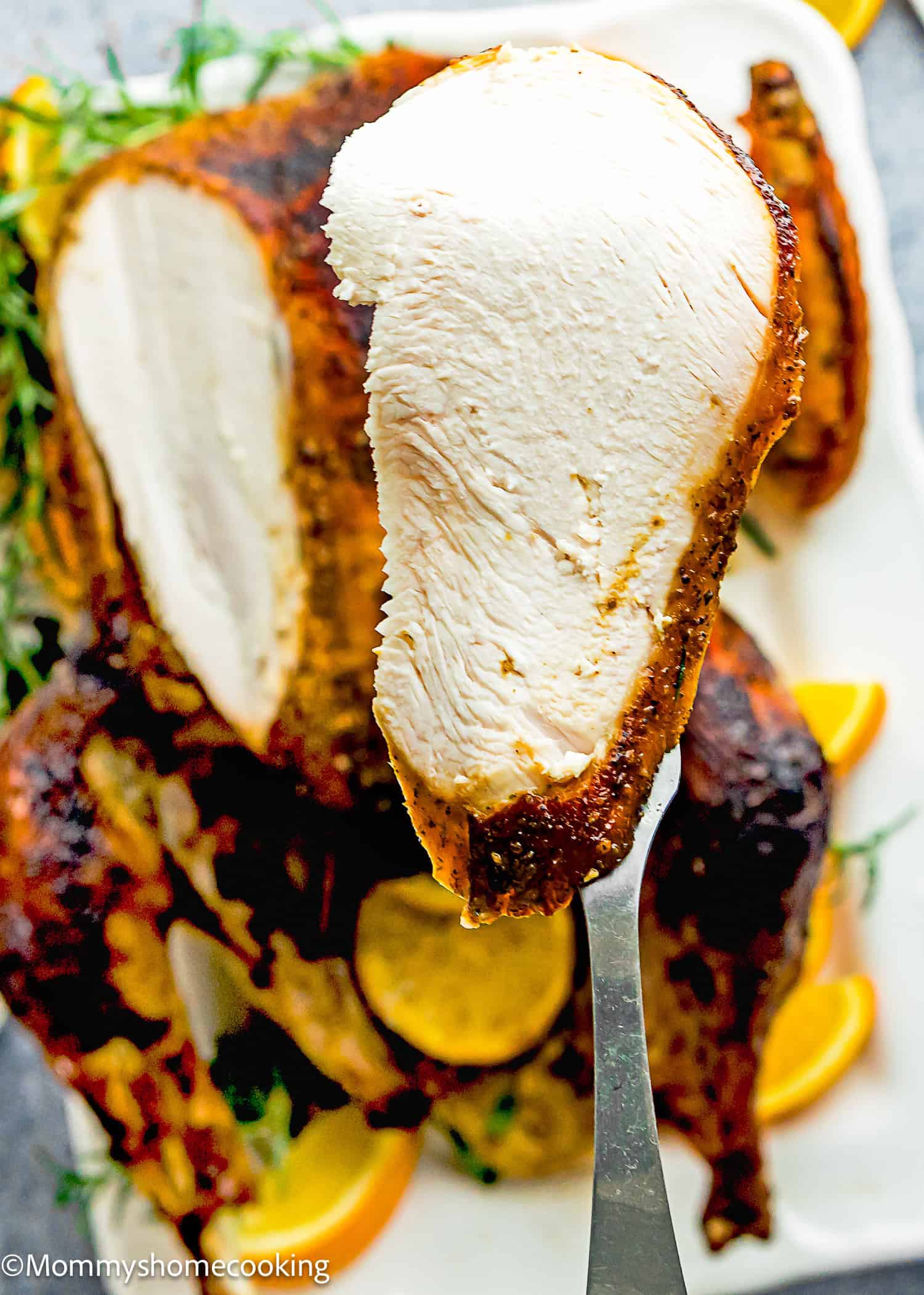 A large slice of cooked turkey breast is held up on a fork above a roasted whole turkey garnished with orange slices and herbs, highlighting our Not a Classic Boring Turkey: Citrus-Garlic Chipotle Thanksgiving Turkey Recipe.