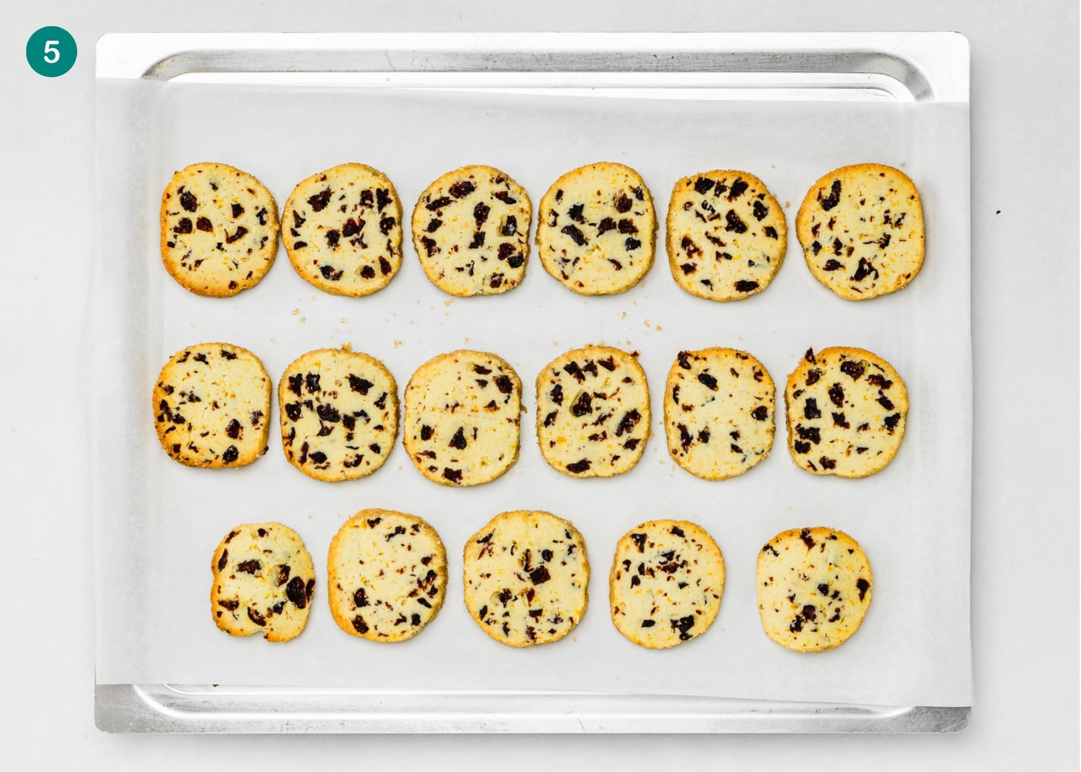 A metal baking tray lined with parchment paper holds fifteen evenly spaced, round Eggless Cranberry Orange Icebox Cookies with visible pieces of chocolate or fruit.